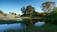 DSC01894