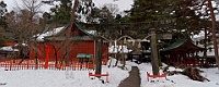 DSC00869_DxO
